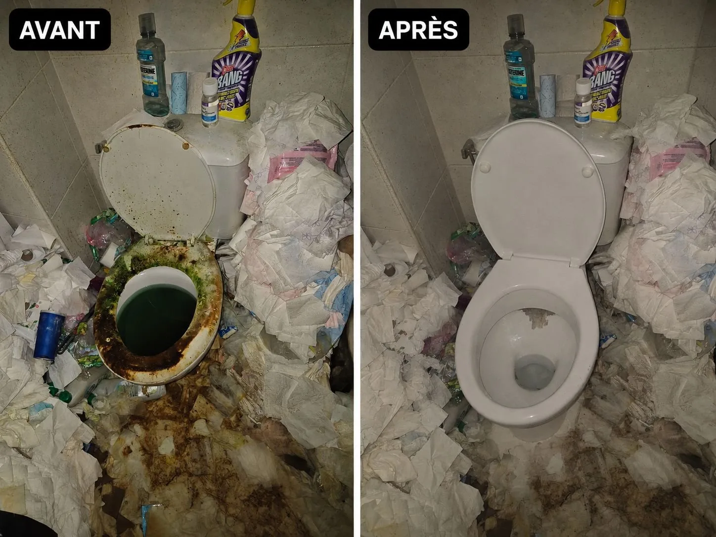 Avant / Après : débouchage et nettoyage complet de WC